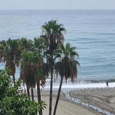Apartamentos Real 81 Estepona Zewnętrze zdjęcie